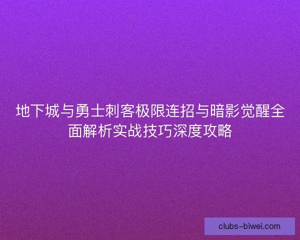 地下城与勇士刺客极限连招与暗影觉醒全面解析实战技巧深度攻略